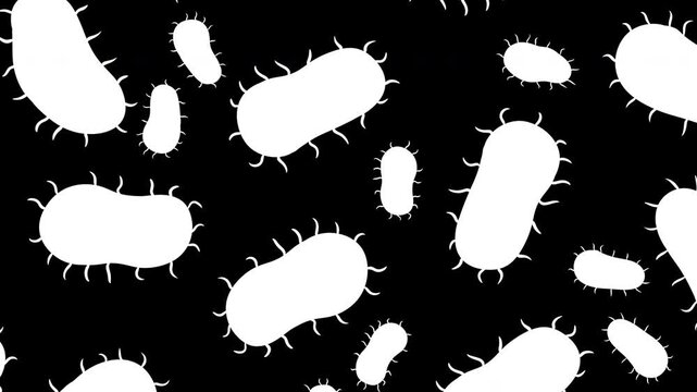 2D animation pattern featuring rod shaped bacilli bacteria with flagella. Green microorganisms on white background with overlay alpha matte channel. Ideal for educational videos about gut health