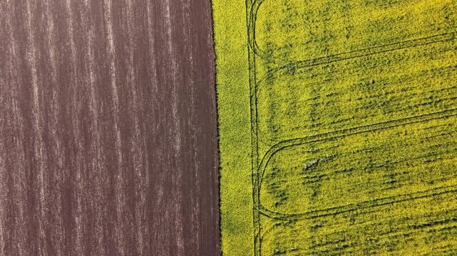 Aerial view of two farm fields with different soil colors. One side shows brown soil and the other side has green fields. The photo is taken during the daytime in a rural area.