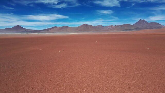 Panoramic aerial shot of vicuna herd scattered across vast red desert plain with sharp volcanic peaks and mountain range under blue sky. Atacama, Chile
