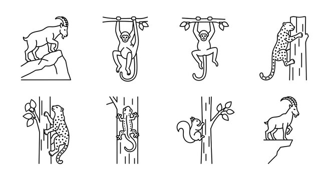 Line art animals in nature environment with goat monkey squirrel leopard