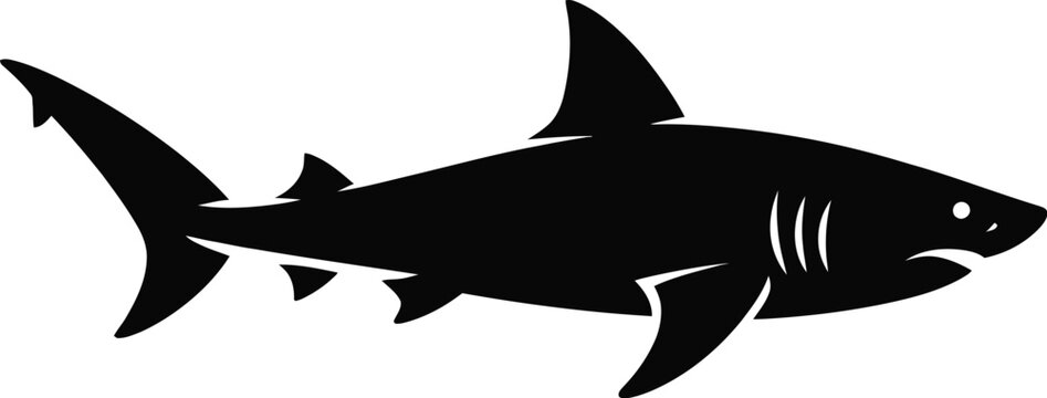 Shark vector illustration isolated on white background showing ocean predator with fins and sharp teeth in cartoon style