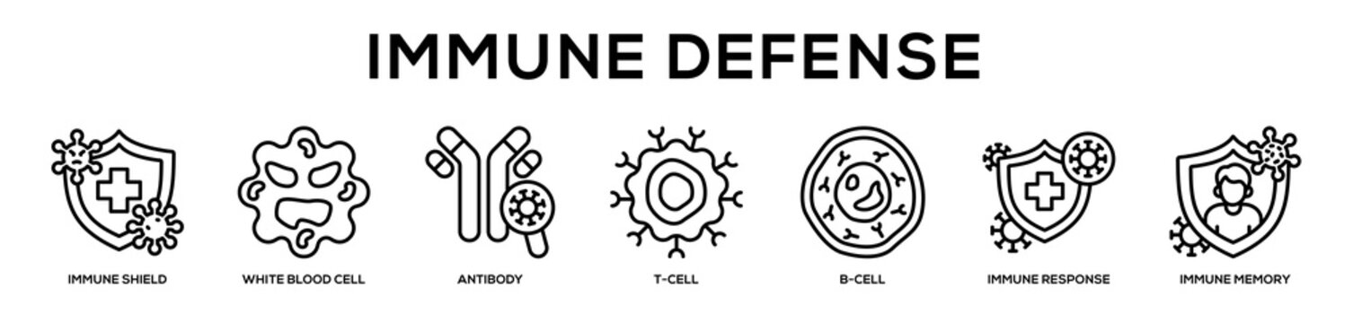 Immune Defense web banner icon illustration concept