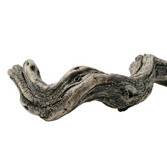 Obraz premium Weathered driftwood branch with smooth bone like curves and fine salt crusted cracks
