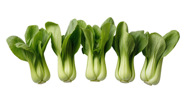 Five fresh bok choy vegetables with vibrant green leaves, isolated on transparent background