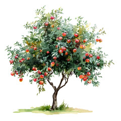 watercolor of Apple Tree, vector, isolated on a white background. © F-ART