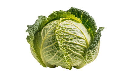 Fototapeta premium Savoy cabbage with crinkled green leaves, isolated on transparent background