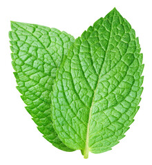 Fresh mint leaf isolated on transparent. Mint leaf is isolated with a PNG © URSA Star
