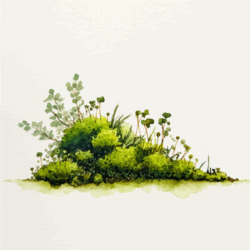Moss, watercolor clipart vector, isolated on a white background.