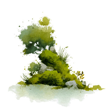 Moss, watercolor illustration vector, isolated on a white background.