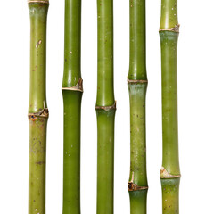 Fototapeta premium Green Bamboo Stalks Isolated on Transparent Background PNG