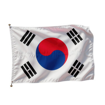 South Korea Flag Waving in Wind Vector Illustration Isolated on Transparent Background