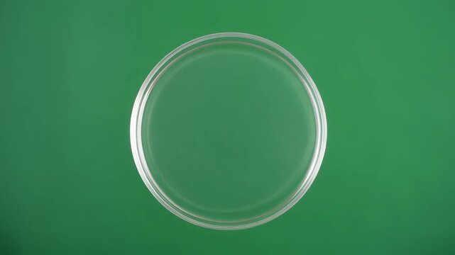 A simple, clear, and empty petri dish on a solid green background, perfect for scientific research and laboratory use