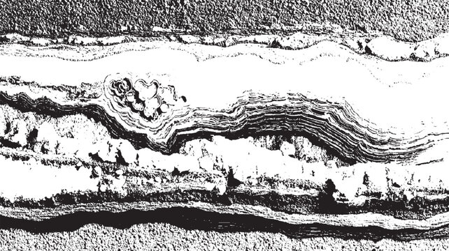 Black and white abstract texture resembling layered rock strata or geological formations with organic patterns