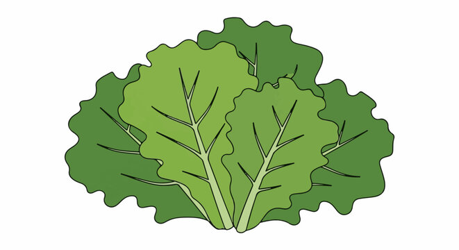 A cartoon depiction of several layers of vibrant green lettuce leaves
