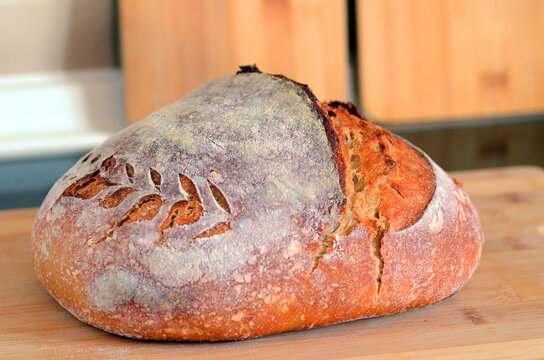 Weizenmischbrot