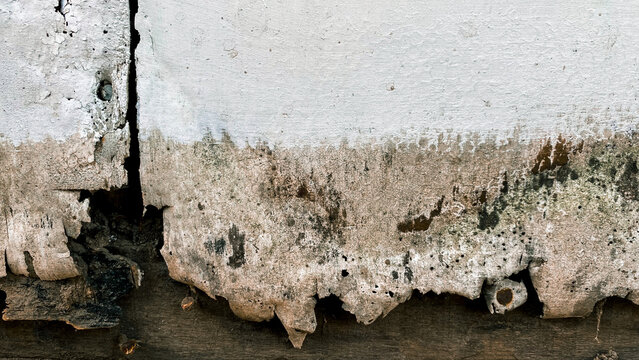 Severely damaged concrete wall texture with vertical crack, moss, and crumbling plaster background.