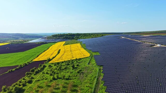Large solar panels extend across the land next to green and yellow fields. The scene shows a sunny day with blue sky and a focus on energy production. Nature and technology are seen together.