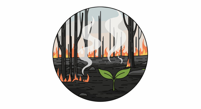 A small green sprout emerges from scorched earth amidst a forest fire