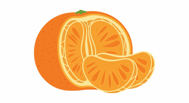 A vibrant illustration of a sliced mandarin orange with segments