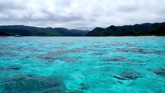秘境・奥西表に広がる亜熱帯の山々と青い海
