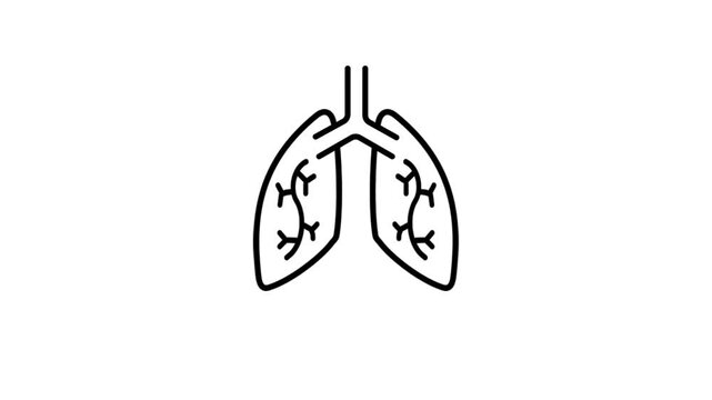 This is an animated video footage of the lungs, suitable for use in content videos, health, cough medicine, respiratory disorders, health, lungs, asthma, internal medicine, specialists, icon videos, 