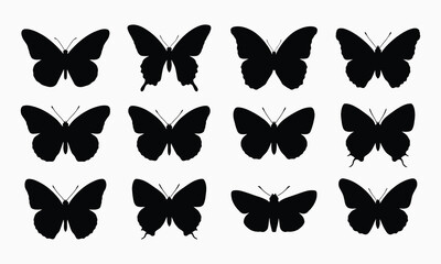 Obraz premium Butterfly collection black silhouettes on white background