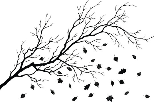 Bare tree branches with scattered falling leaves in winter