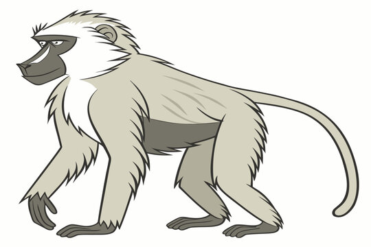 Baboon and Orangutan Vector