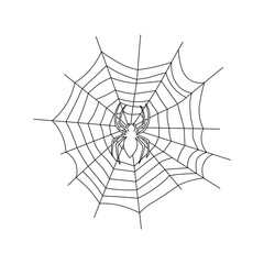 Obraz premium Detailed spider web with arachnid center line art illustration for scary halloween or insect biology theme