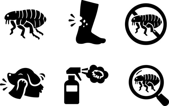 Flea pest control and allergy icons
