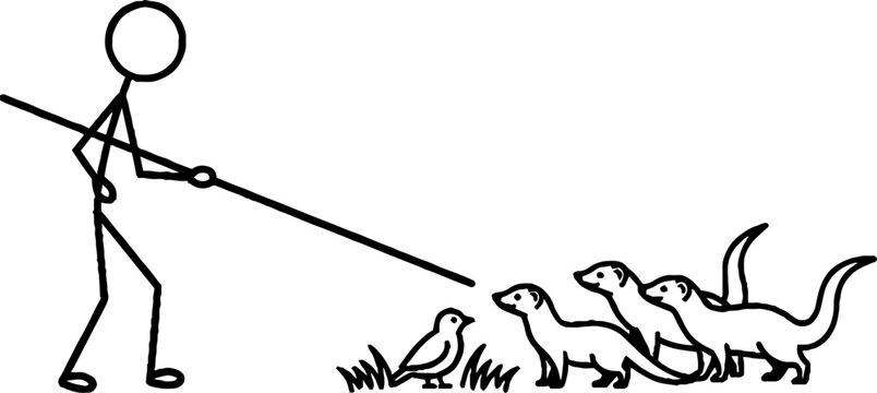 Stick figure showing bird to group of meerkats