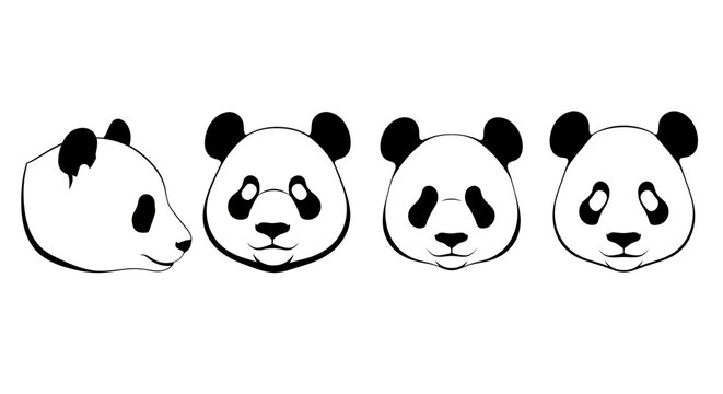 Adorable vector illustrations depicting various views of a charming panda bear's head in a collection