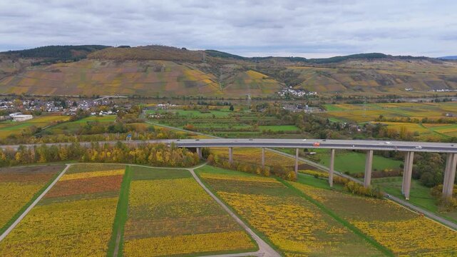 Vineyards in Moselle valley, autumn season, Mosel Viaduct Longuich, bridge of highway crossing river near Trier, aerial view