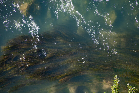 Escena de un rio muy representativa de los ecosistemas fluviales, donde la interacci&oacute;n entre luz, agua y vegetaci&oacute;n genera texturas y reflejos fascinantes.