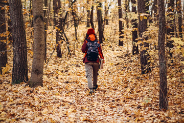 Obraz premium Hiker with backpack and thermos walks away into autumn forest. low impact travel, domestic adventure photography, eco friendly vacation.