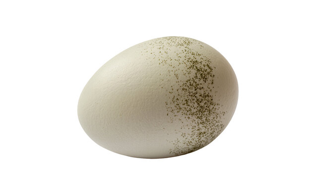 Speckled off-white bird egg with textured shell, isolated on transparent background