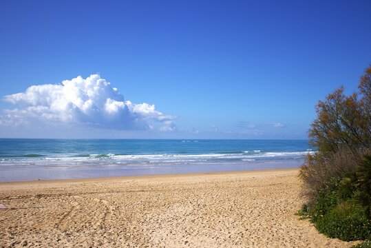 La barrosa. Chiclana de la Frontera. C&aacute;diz. Espa&ntilde;a. Europa.