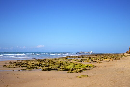 La barrosa. Chiclana de la Frontera. C&aacute;diz. Espa&ntilde;a. Europa.