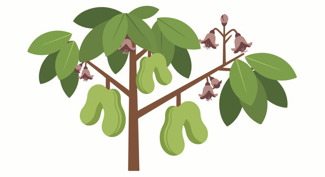 A stylized tree with green leaves, light green fruits, and brown bell-shaped flowers