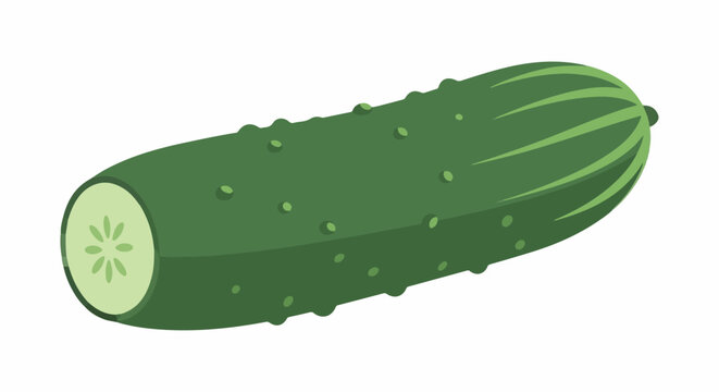 A sliced green cucumber with bumpy skin and visible seeds
