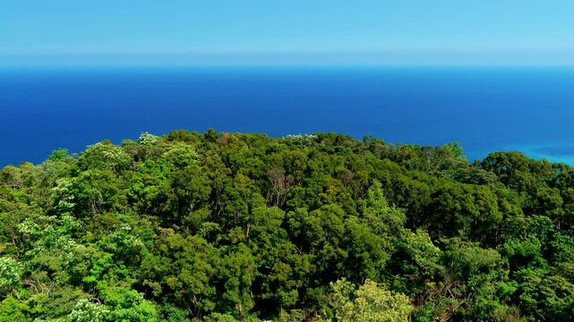 Aerial view of the sea coast in Taitung , Taiwan