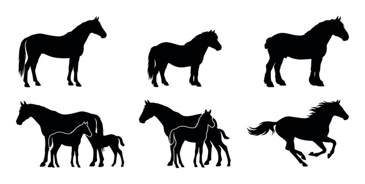 Various horse silhouettes depicting different breeds and poses, including a mare with her foal and a powerful running stallion, ideal for equestrian themed projects.