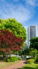 Obraz premium Modern Residential Skyscraper and Gazebo with Fresh Greenery in Sagamiono Central Park, Japan