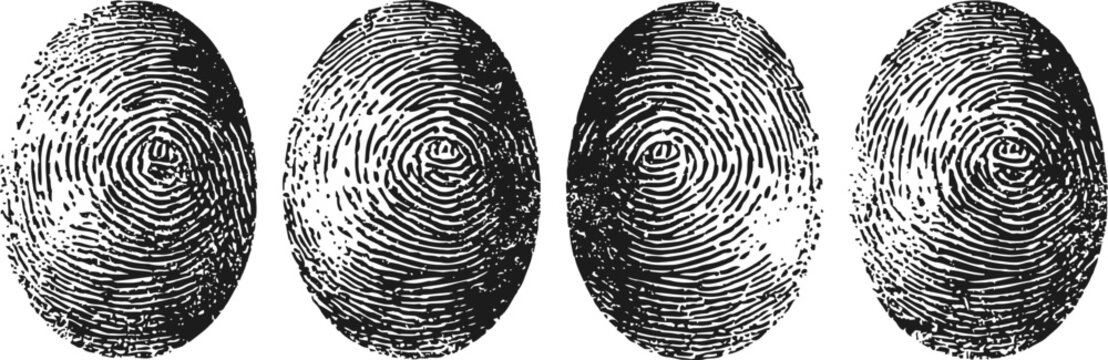 Four detailed fingerprint impressions with unique swirl and loop patterns in black and white