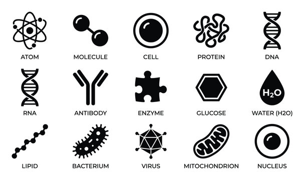 Biology chemistry flat black icons collection representing fundamental life science elements.