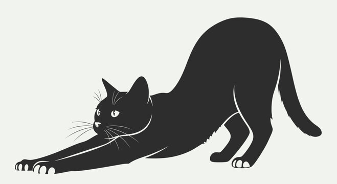 Black Cat Stretching