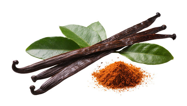 Dark brown vanilla beans and powder with green leaves, isolated on transparent background