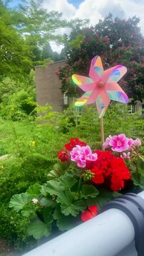 Colorful toy windmill spinning in the wind on a balcony garden with red geranium flowers, summer sunny day