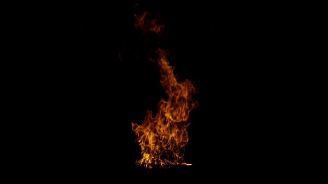 A realistic fire element with intense flames burning brightly against a solid black background for compositing.