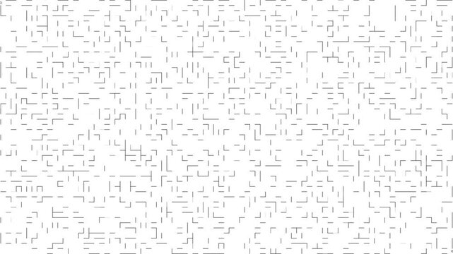 2D Maze Black Walls White Background Grey Pathfinder Trail - Square Maze Animation
